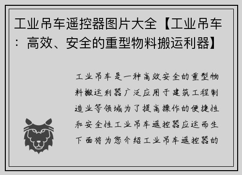 工业吊车遥控器图片大全【工业吊车：高效、安全的重型物料搬运利器】