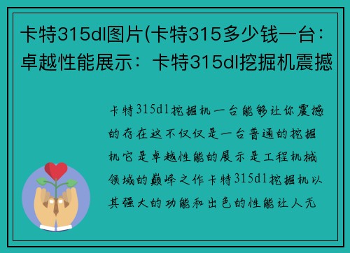 卡特315dl图片(卡特315多少钱一台：卓越性能展示：卡特315dl挖掘机震撼登场)