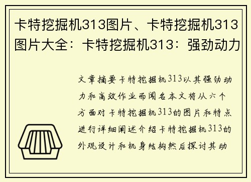 卡特挖掘机313图片、卡特挖掘机313图片大全：卡特挖掘机313：强劲动力，高效作业